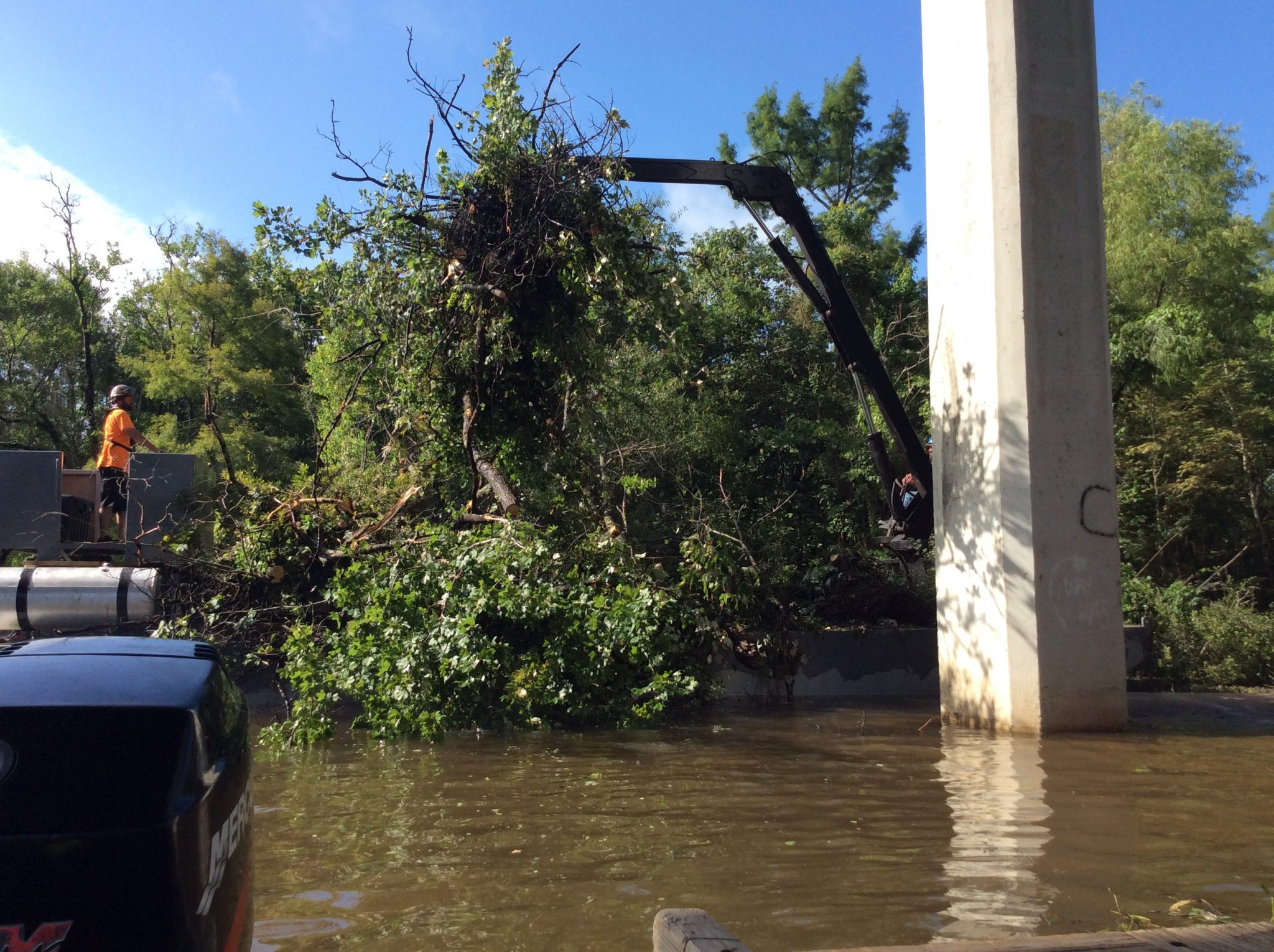 2021 Little Cypress Bayou Waterway Debris Removal Project NRCS/USDA